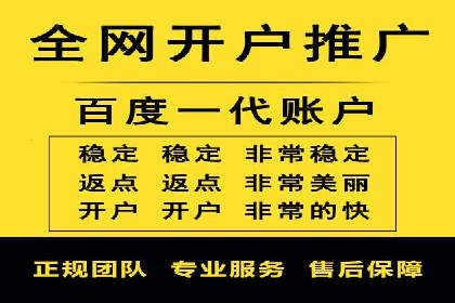 百度优化推广全解析：从零到一的流量增长
